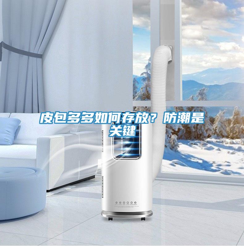 皮包多多如何存放？防潮是關鍵