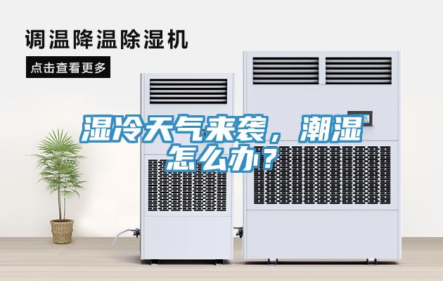 濕冷天氣來襲，潮濕怎么辦？