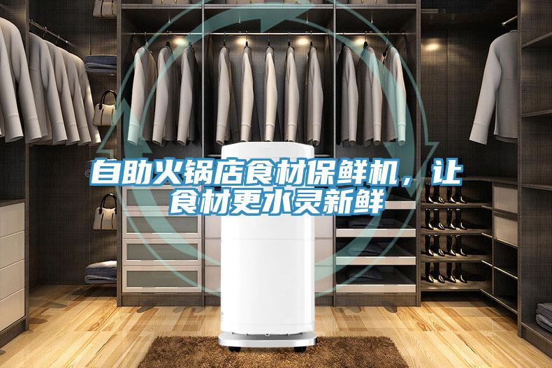 自助火鍋店食材保鮮機,讓食材更水靈新鮮