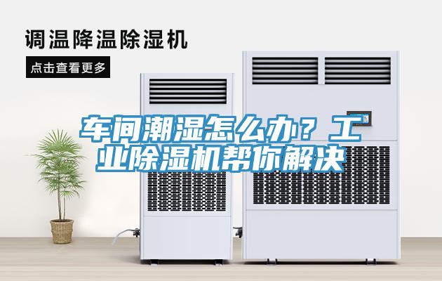 車間潮濕怎么辦?工業(yè)除濕機(jī)幫你解決