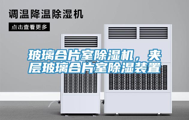 玻璃合片室除濕機，夾層玻璃合片室除濕裝置
