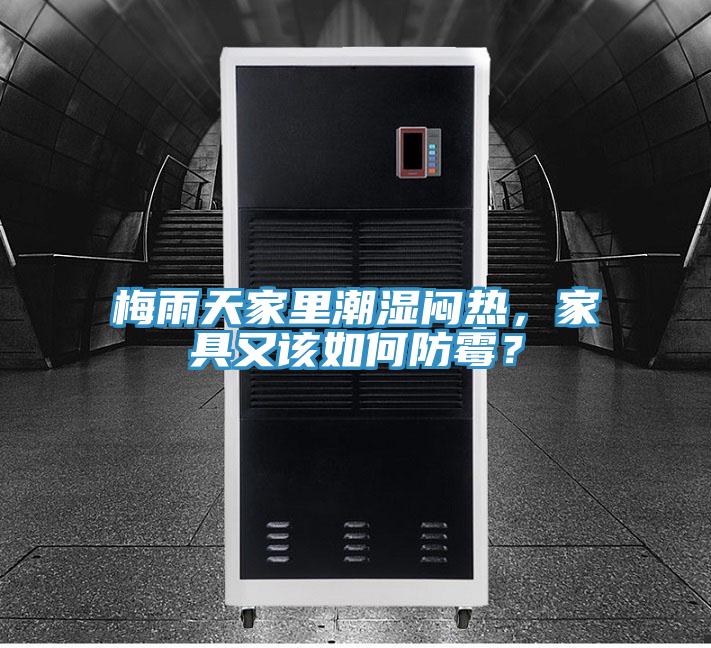 梅雨天家里潮濕悶熱，家具又該如何防霉？