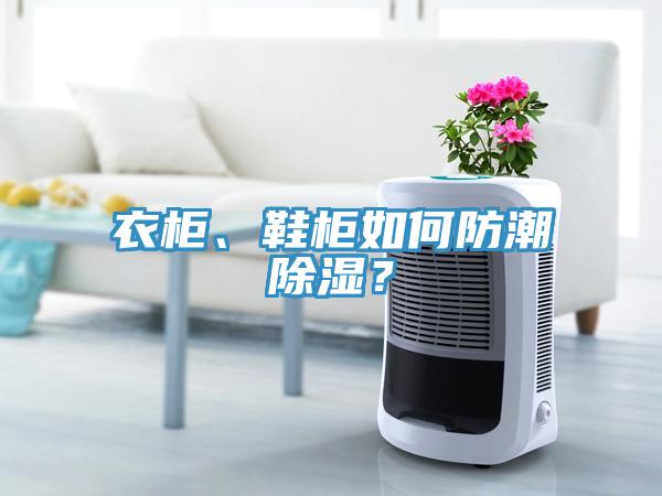 衣柜、鞋柜如何防潮除濕？