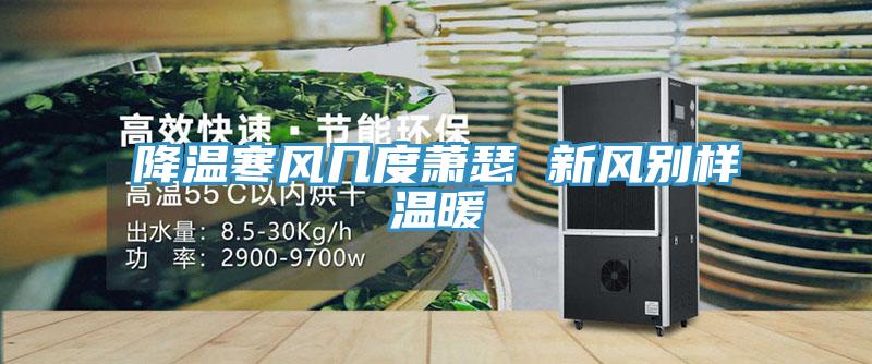 降溫寒風(fēng)幾度蕭瑟 新風(fēng)別樣溫暖