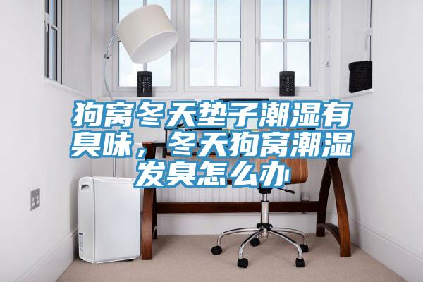 狗窩冬天墊子潮濕有臭味，冬天狗窩潮濕發臭怎么辦