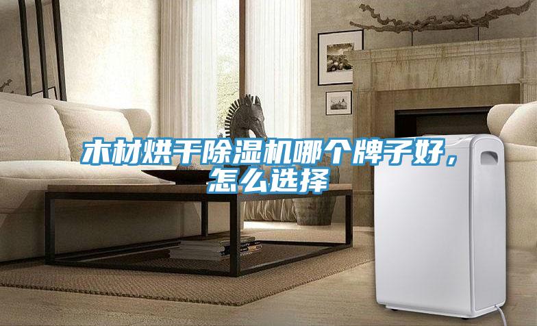 木材烘干除濕機哪個牌子好，怎么選擇