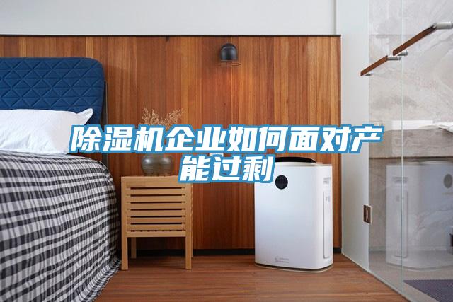 除濕機企業如何面對產能過剩