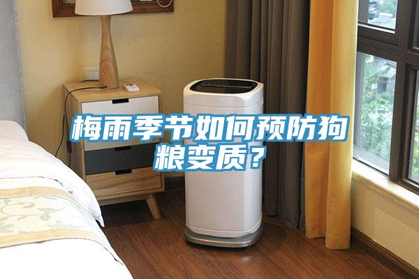 梅雨季節如何預防狗糧變質？