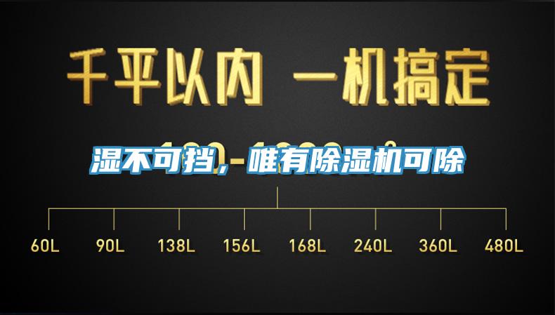 濕不可擋，唯有除濕機(jī)可除