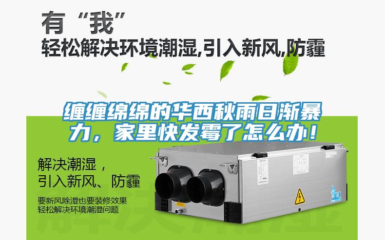 纏纏綿綿的華西秋雨日漸暴力，家里快發霉了怎么辦！