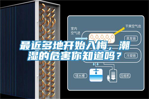 最近多地開始入梅，潮濕的危害你知道嗎？