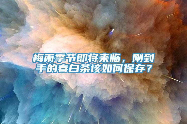 梅雨季節即將來臨，剛到手的春白茶該如何保存？