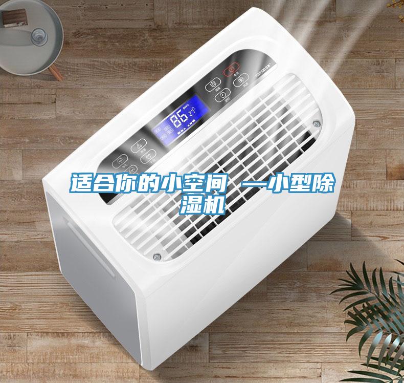 適合你的小空間 —小型除濕機