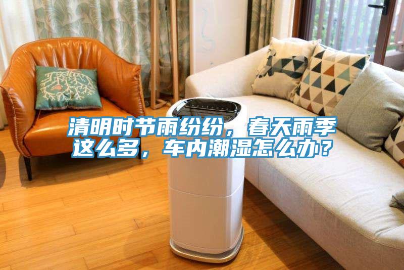 清明時節雨紛紛，春天雨季這么多，車內潮濕怎么辦？