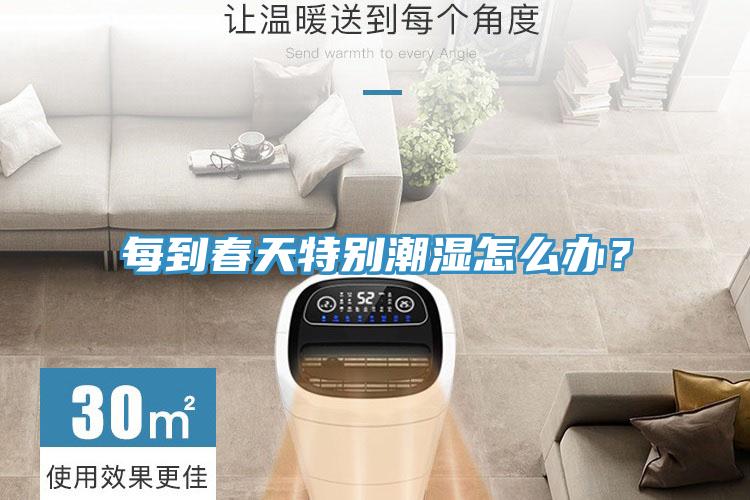 每到春天特別潮濕怎么辦？