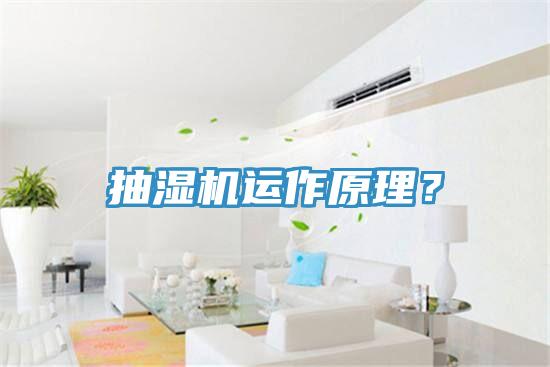 抽濕機(jī)運(yùn)作原理？