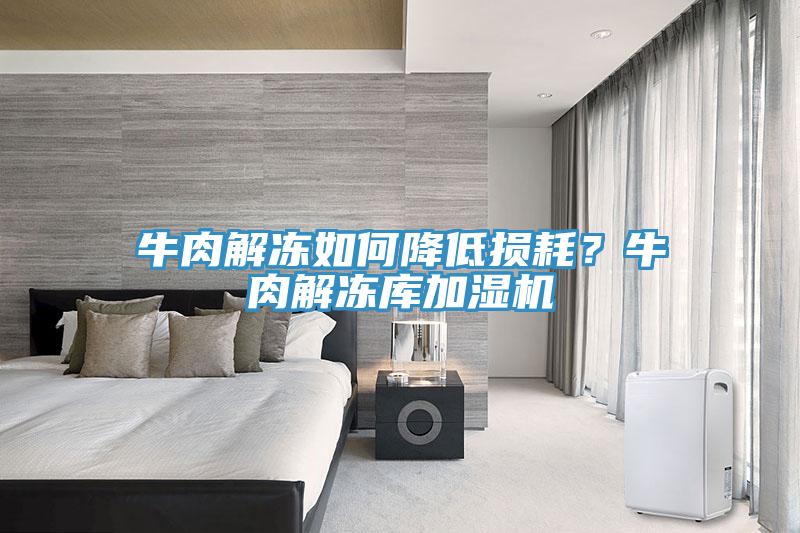 牛肉解凍如何降低損耗？牛肉解凍庫加濕機