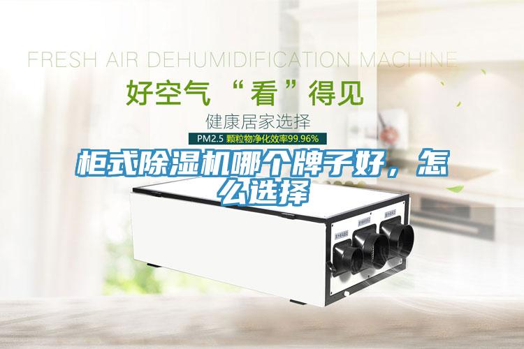 柜式除濕機哪個牌子好，怎么選擇