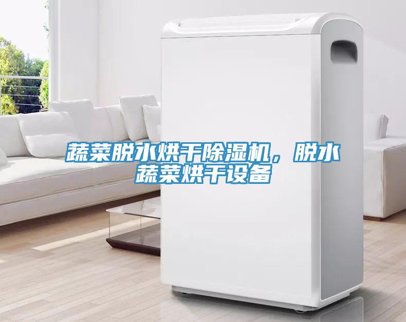 蔬菜脫水烘干除濕機，脫水蔬菜烘干設備