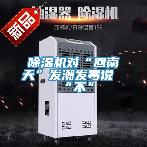 除濕機(jī)對“回南天”發(fā)潮發(fā)霉說“不”