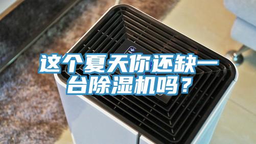 這個夏天你還缺一臺除濕機嗎？