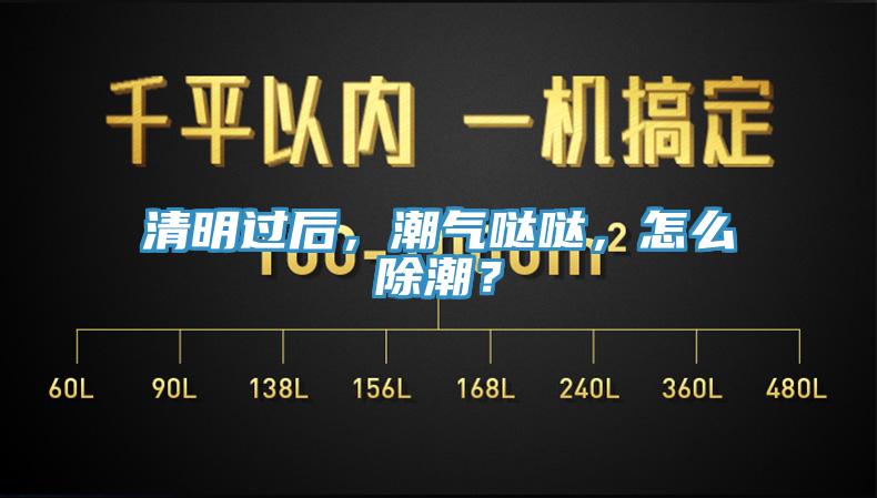 清明過后，潮氣噠噠，怎么除潮？