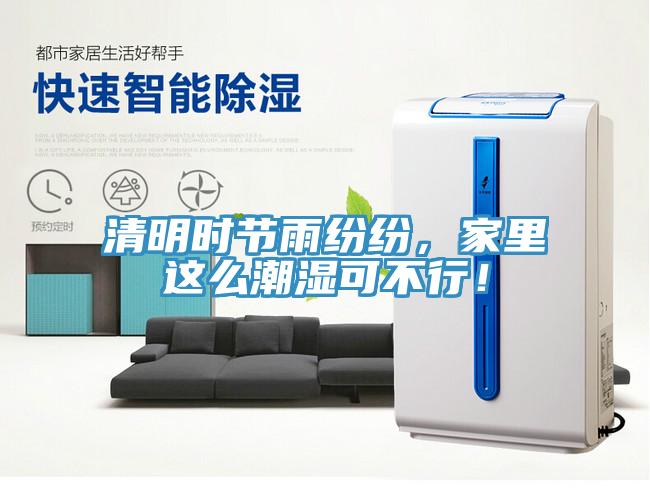 清明時節雨紛紛，家里這么潮濕可不行！