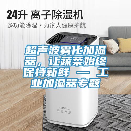 超聲波霧化加濕器，讓蔬菜始終保持新鮮 — 工業加濕器專題