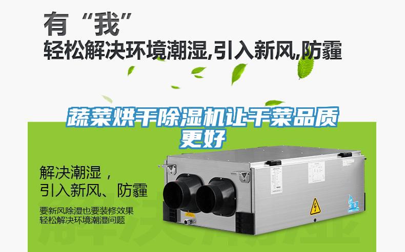 蔬菜烘干除濕機讓干菜品質更好