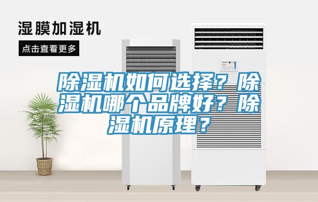 除濕機如何選擇？除濕機哪個品牌好？除濕機原理？