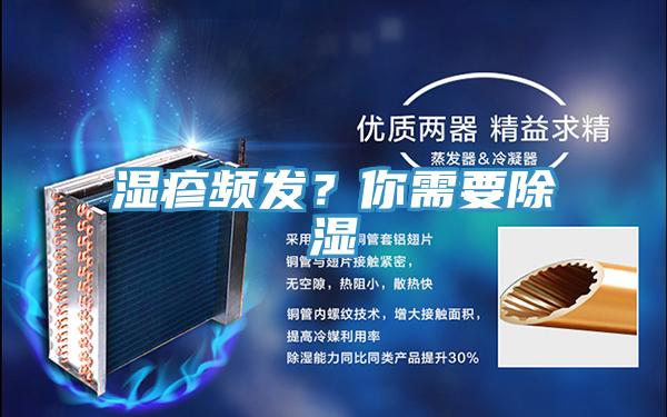 濕疹頻發？你需要除濕