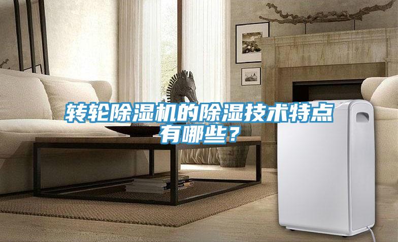 轉輪除濕機的除濕技術特點有哪些？