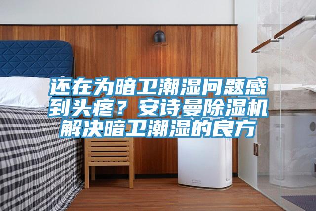 還在為暗衛潮濕問題感到頭疼？安詩曼除濕機解決暗衛潮濕的良方