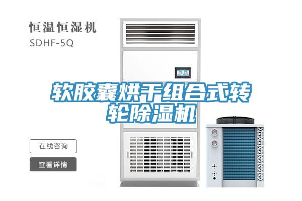 軟膠囊烘干組合式轉輪除濕機