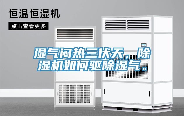 濕氣悶熱三伏天，除濕機如何驅除濕氣。