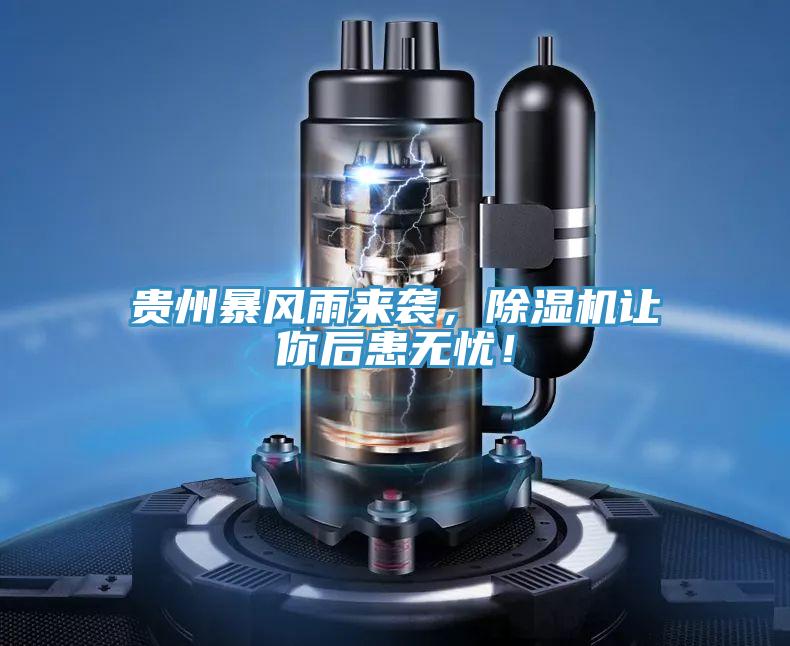貴州暴風雨來襲，除濕機讓你后患無憂！