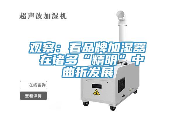 觀察:看品牌加濕器 在諸多“精明”中曲折發(fā)展