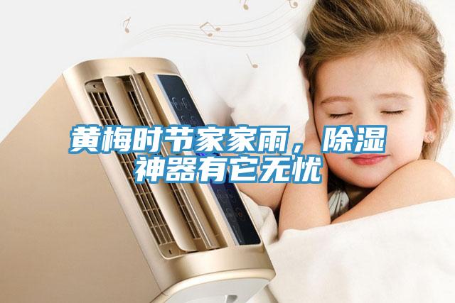 黃梅時節家家雨，除濕神器有它無憂