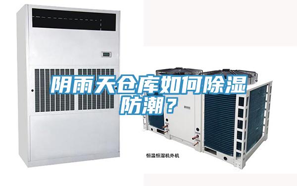 陰雨天倉庫如何除濕防潮？