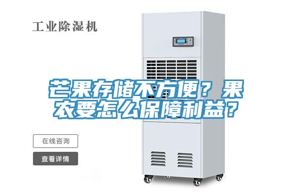 芒果存儲不方便？果農要怎么保障利益？