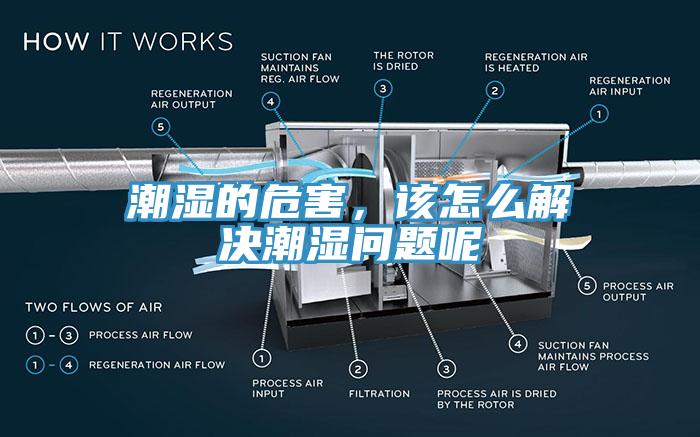 潮濕的危害，該怎么解決潮濕問題呢