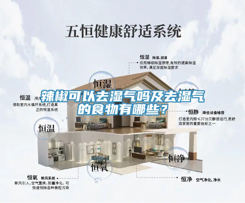 辣椒可以去濕氣嗎及去濕氣的食物有哪些？