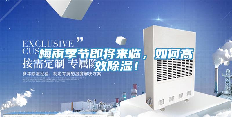 梅雨季節即將來臨，如何高效除濕！