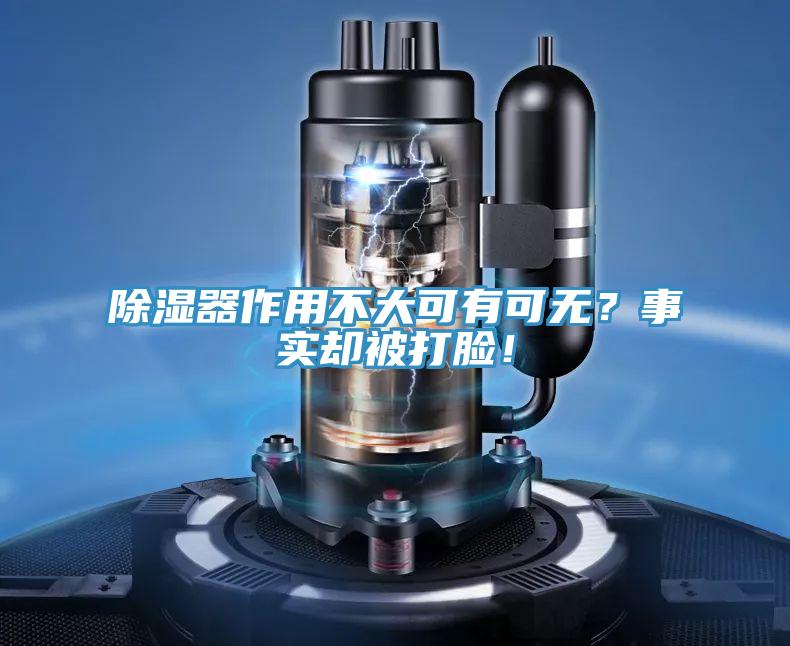 除濕器作用不大可有可無？事實卻被打臉！