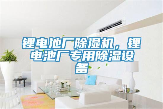 鋰電池廠除濕機，鋰電池廠專用除濕設備