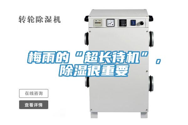 梅雨的“超長待機”，除濕很重要