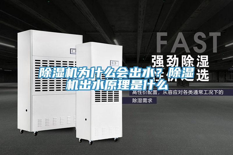 除濕機為什么會出水？除濕機出水原理是什么