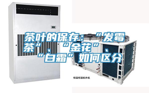 茶葉的保存：“發霉茶”、“金花”、“白霜”如何區分
