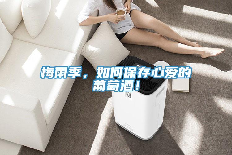 梅雨季，如何保存心愛的葡萄酒！