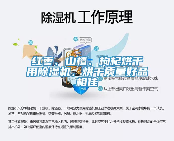紅棗、山楂、枸杞烘干用除濕機，烘干質(zhì)量好品相佳